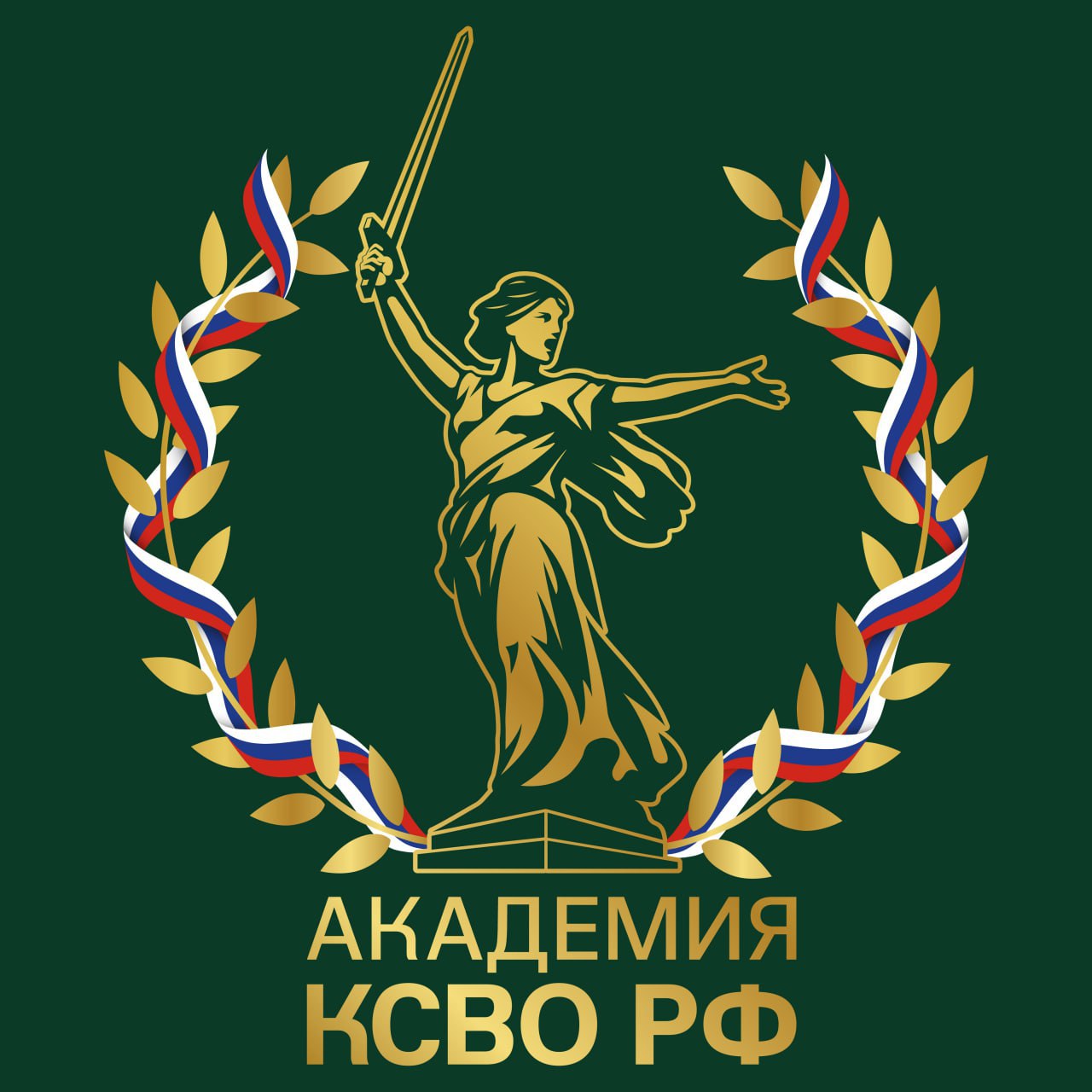 Стартовал проект «Академия КСВО РФ» для команд НКО, оказывающих поддержку участникам СВО и их семьям